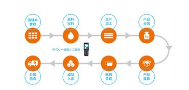 構(gòu)建智慧防線 水產(chǎn)品質(zhì)量追溯系統(tǒng)與信息安全軟件開發(fā)雙管齊下，保障您的食用安全